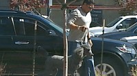 Dognapping on the Rise: How to Keep Your Pets Safe
