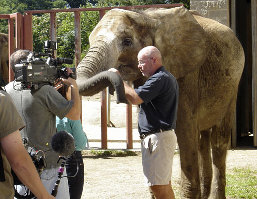 Pittsburgh Zoo Elephant Trainers