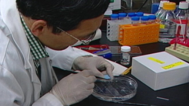 VIDEO: Scientists are working with a gene therapy to help grow essential proteins.