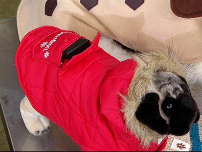 VIDEO: Winterize Your Pets