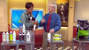 Veternarians have options for pets struggling with allergies.