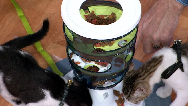 VIDEO: Dr. Marty Becker picks his favorite products for you and your family's pet.