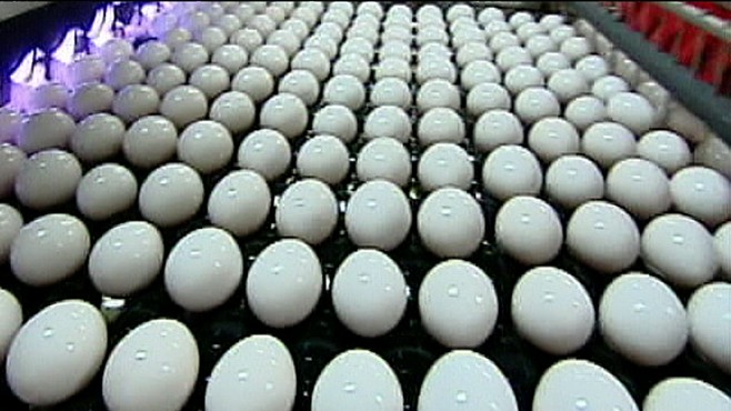 VIDEO: Dr. Richard Besser looks at what the FDA is doing to ensure food safety.