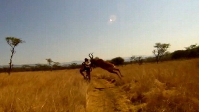 VIDEO: Video shows a bike ride gone wrong when a buck collides with a biker.