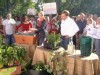 VIDEO: Housing contributor Wendy Bounds explains how to make a garden in a small space.