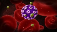 Breast Cancer Drug Cocktail Destroys Cancer Cells?