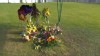 VIDEO: Police Fight Josh Powell Burial Location