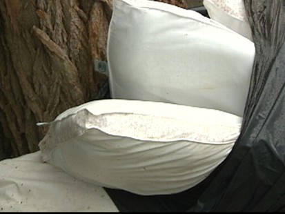 VIDEO: A new procedure called thermal remediation kills the bugs with high heat.
