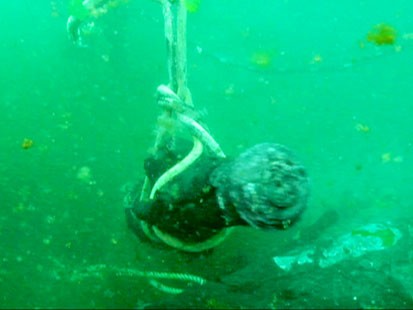 A picture of a cannon being pulled up from underwater.