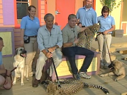 VIDEO: Sam Champion meets wild and tame animals at the Columbus Zoo.