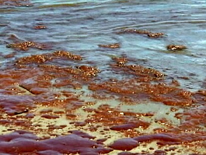 VIDEO: Oil Washes Ashore