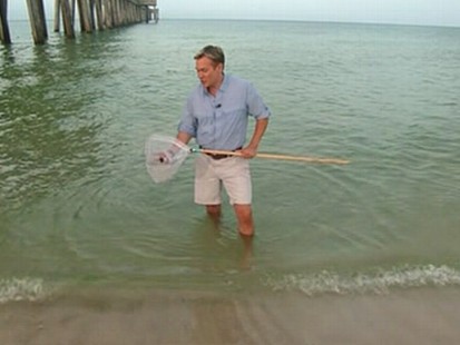 VIDEO: Internal BP docs reveal a worst-case scenario 100 times the original estimate.