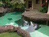 Video Sample