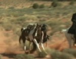 VIDEO: Johnny Depp Nearly Trampled By Horse