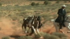 VIDEO: Johnny Depp Nearly Trampled By Horse