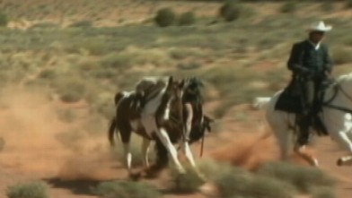 VIDEO: Johnny Depp Nearly Trampled By Horse