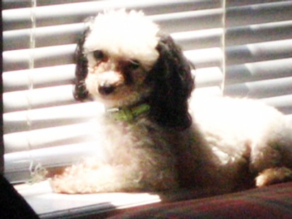 Missy