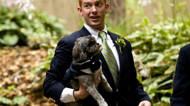 VIDEO: More couples are choosing to have their dog walk down the aisle in style.