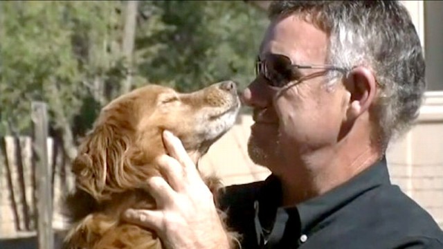VIDEO: Lost Dog Returned to Owner After Two Months