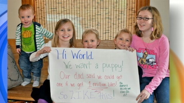 VIDEO: Facebook Plea for New Puppy