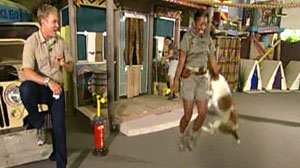 dog jumping rope