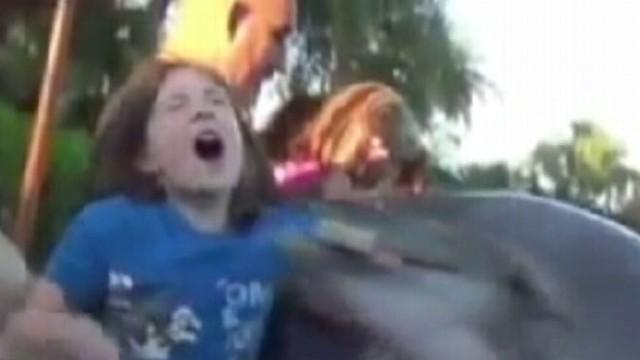 VIDEO: A family trip to Orlando Seaworld ends poorly for one little girl.