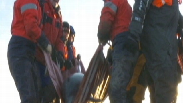 VIDEO: Scientists are trying to save them and figure out how they ended up beached.