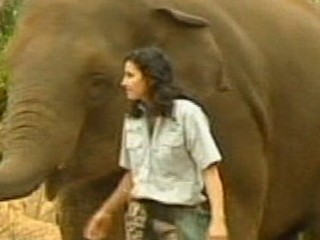 Watch: Zookeeper Crushed by Elephant Fights for Her Life