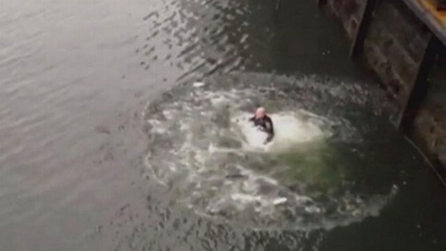 VIDEOS: Officer Edward Norton, weighed down by his bullet-proof vest, pulls frantic water to safety.