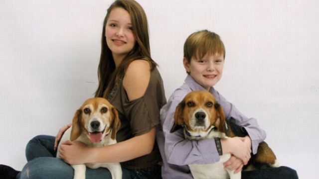 VIDEO: Families separated from their beloved pets use social media to find their furry friends.
