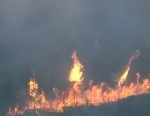 Wildfires in the west ignited by extreme heat