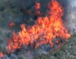 Arizona wildfires nearly triple in size