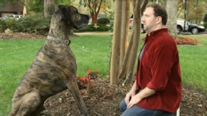 VIDEO: Favorite Super Bowl Commercials