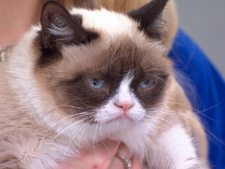 Full Episode: GMA 03/22: Grumpy Cat Visits Times Square