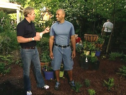 VIDEO: Vegetable gardens are a recession friendly way to cut costs and stay healthy.