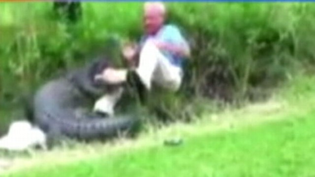 VIDEO: Fred Boyce discusses why he attempted to wrangle a wild alligator in a yard.