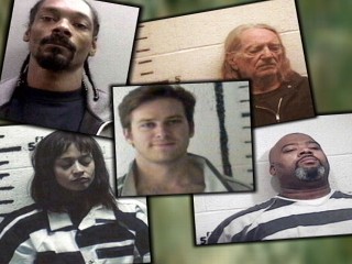 Watch: Celebrity Drug Busts: 'Checkpoint to The Stars'