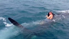 VIDEO: A video of a teen grabbing on to whale shark's dorsal fin and going for a ride has gone viral.