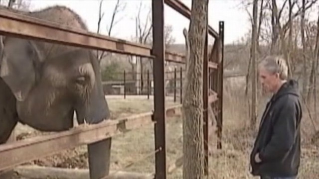 VIDEO:Beloved, experienced Missouri trainer killed by an elephant he helped raise.