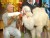 VIDEO:  Walk on the Wild Side With Jack Hanna