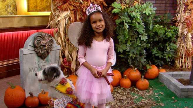 VIDEO: Outfit the whole family, including pets, with great homemade costumes.