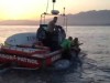 VIDEO: Horse swam three miles out to sea after being spooked during Calif. photo shoot.