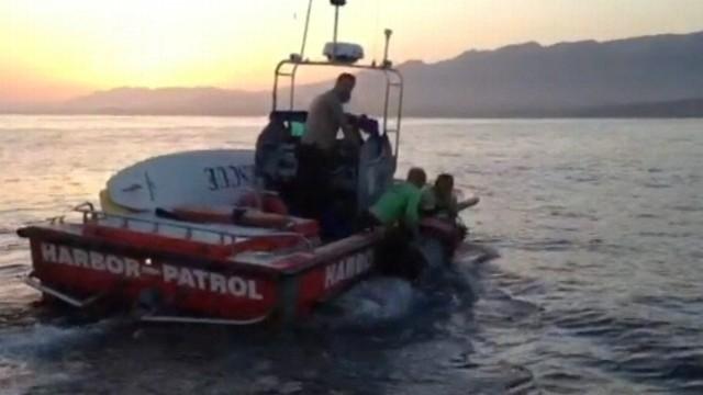 VIDEO: Horse swam three miles out to sea after being spooked during Calif. photo shoot.