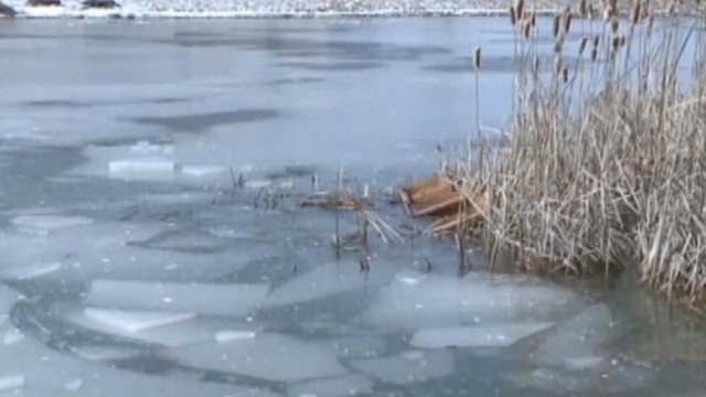 VIDEO: When his 8-year-old sister fell through the ice, the young hero sprang into action.