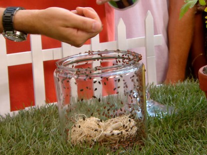 VIDEO: The new line of pesticides uses food-grade ingredients to battle insects.
