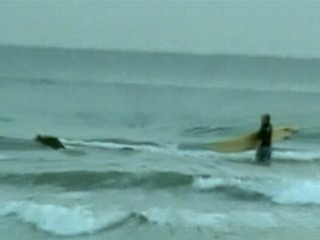 Kangaroo Rescued From Riptide