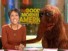 Poking Fun at Stephanopoulos