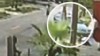 VIDEO: A Florida landlord is hit by a station wagon after a parking dispute.