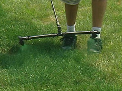 VIDEO: The New Way to Get a Green Lawn