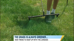 Spray Your Way to a Greener Lawn